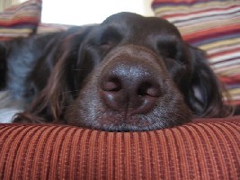 Ist er nicht süss, wenn er schläft?