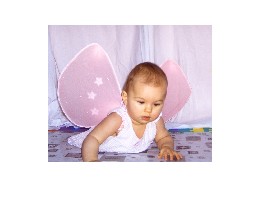 JD310020  Engelchen2.jpg