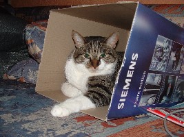 Nov. 2005 002.jpg