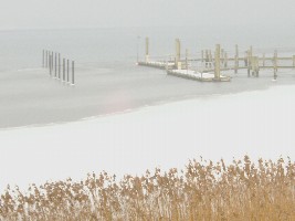 die schlei halb zugefroren versunken im nebel