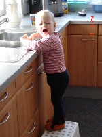 meine maus hilft mir schon beim abspühlen.