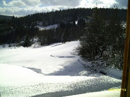 bilder120206 047.jpg