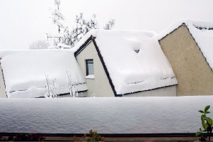 Blick aus dem Küchenfenster...