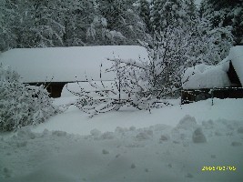 bilder120206 079.jpg