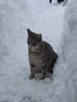 Mein Zita-Mäuschen ganz brav