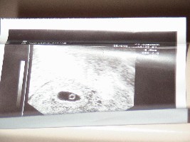 Bild 002.jpg