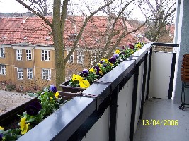 4m Frühblüher.JPG