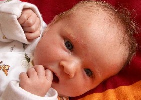 Größenänderung Foto Emelie fürs Forum.jpg