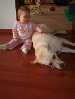 Tabea denkt &amp;quot;Ja, Mama sagt immer &amp;quot;ei machen&amp;quot; aber das ist so langweilig. Kräftig klopfen macht ein besseres Geräusch!&amp;quot;
<br />Gina denkt &amp;quot;Immer dieser freche Welpe - Noch dreißig Sekunden und ich bin weg hier!!!&amp;quot;