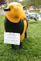 Unser &amp;quot;Hummelschaf&amp;quot;
<br />Es heißt: &amp;quot;Ka`Schaf `a&amp;quot;
<br />=Schwäbisch: Kann arbeiten!!