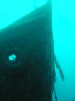 Wrack Paris - Bug.jpg