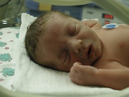 Benedikt Markus • 2.410 g • 44 cm • KU: 32 cm