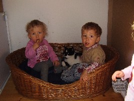 Ronja und Cameron (und Milo) im Hundekorb!!! (Die Flecken an der Wand haben übrigens auch die Kinder fabriziert!!!)