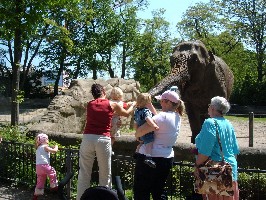 Elefanten und andere Tieren..klein.jpg