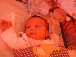 Benedikt am 13.06.2006