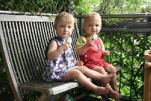 Fruchtzwergeeis auf dem Balkon....der Sommer ist endlich da!