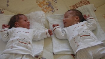 Marlon (links) und Benedikt kurz nach der Ankunft im neuen Zuhause im &amp;quot;Ställchen&amp;quot;.