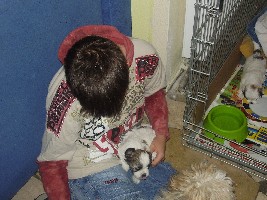 Kai mit seinem &amp;gt;Snoopy&amp;lt; bei der Züchterin