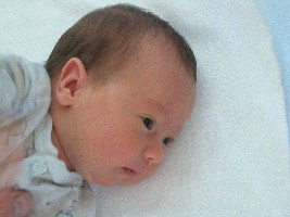 Unsere kleine Amelie
