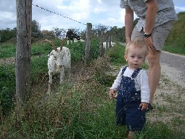 Felix und die Ziege-kl.JPG