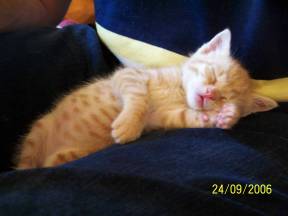 Sunrise 060924_1.jpg