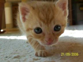 Sunrise 060921b_1.jpg