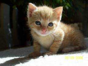 Sunrise 060920_1.jpg