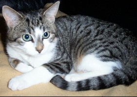 mich gibt's auch (fast)wach...