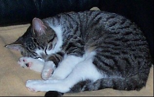 schlafen is wat feines