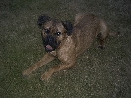 &amp;quot;Emma&amp;quot;