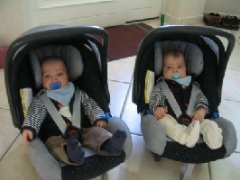 Wie groß sind sie schon geworden.JPG