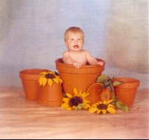 eine schöne Blume.jpg