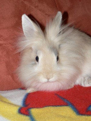 Bin ich nicht süß?