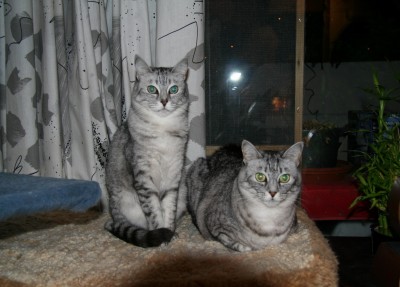 Sammy links, Minka rechts
