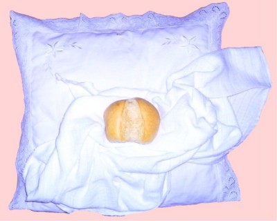 TX0131 auf kissen rosa jpg.jpg