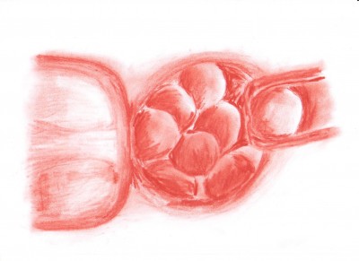 PID Kohle rot jpg.jpg