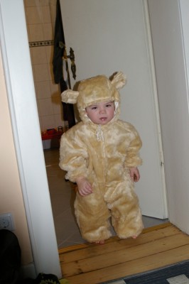 unser kleiner Löwe...