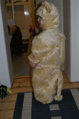 kleiner Löwe von hinten...