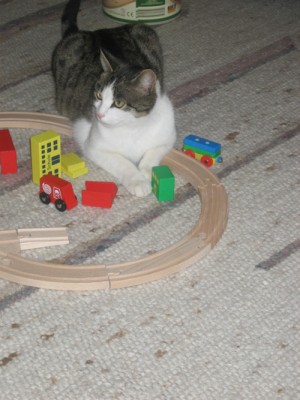 Paula spielt mit.jpg