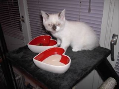 5. Wer stört Lilly .jpg