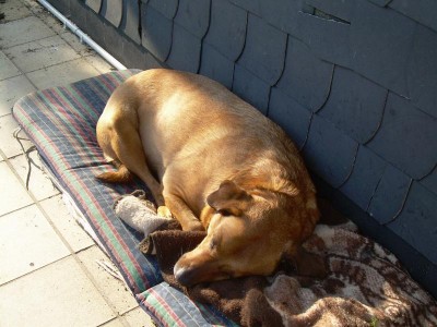 ...ach was ist das leben schön.....