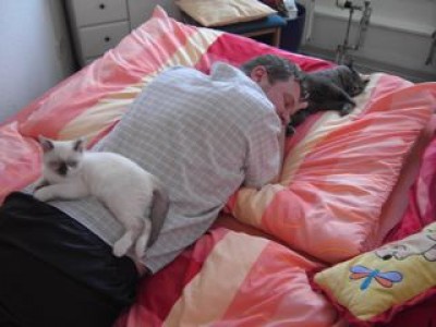 1-Lilly liebt Kater.jpg