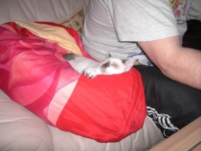 1-Lilly im Kopfkissen-02.04.07.jpg