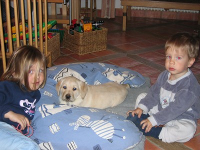 Unser hund ist angekommen