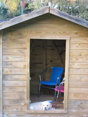 Wer hat schon so ne Komfortable Hundehütte, mit Stühlen etc.