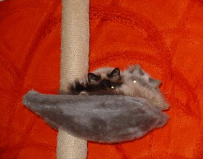 hoffentlich sieht uns keiner