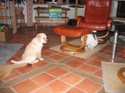 die erste Annäherung