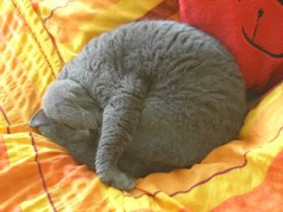 Eliot-so klein-kann-ich-mich-machen-24.04.07.jpg