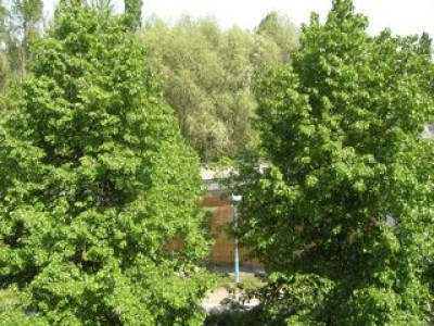 Biene´s Ausblick in Berlin1.jpg