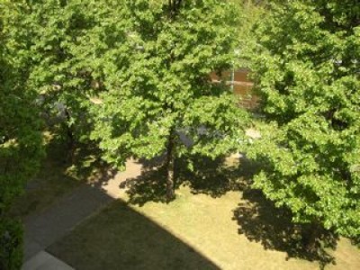 Biene´s Ausblick in Berlin3.jpg